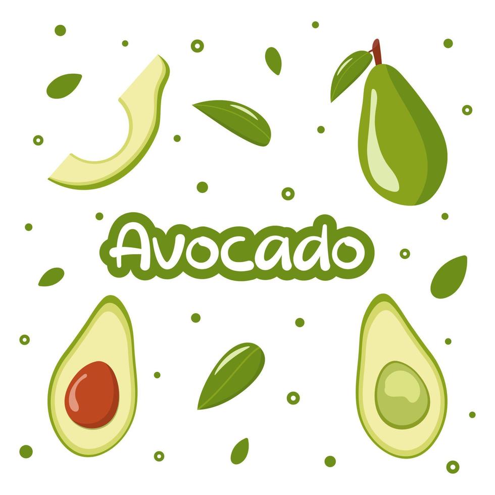 Whole avocado with leaves, half and slice. Cute collection. Fresh illustration set.  Isolated on white background. Flat style. Ideal for poster, banner, background, menu, package, sticker, print. vector