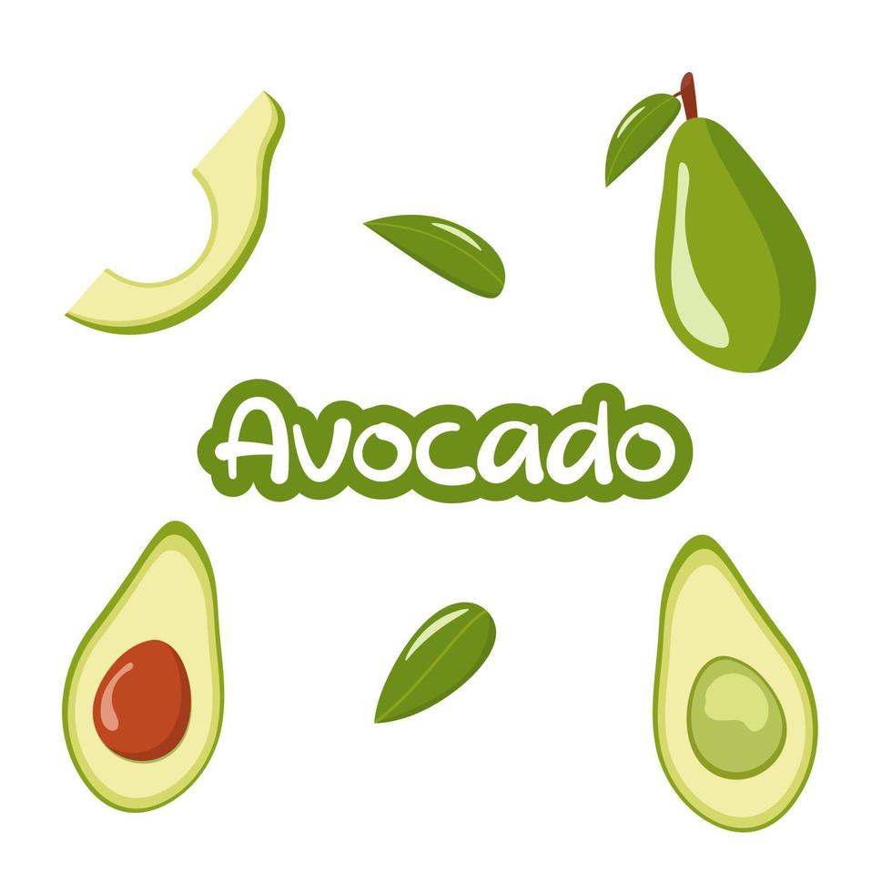 Whole avocado with leaves, half and slice. Cute cartoon style. Illustration set. Isolated on white background. Fresh flat avocado. vector