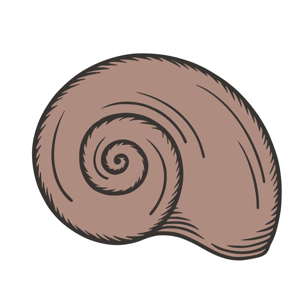 ilustración de vector de garabato dibujado a mano de concha de mar