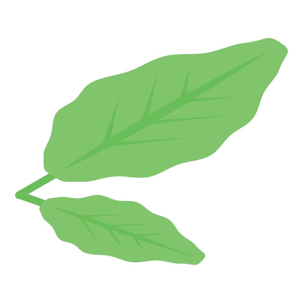 Kiwi leaf icon, isometric style vector