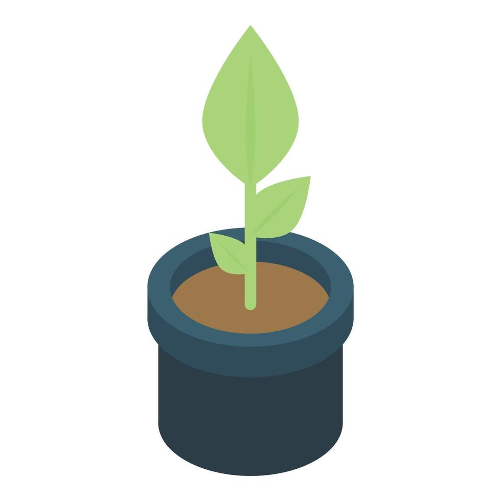 Houseplant icon, isometric style vector