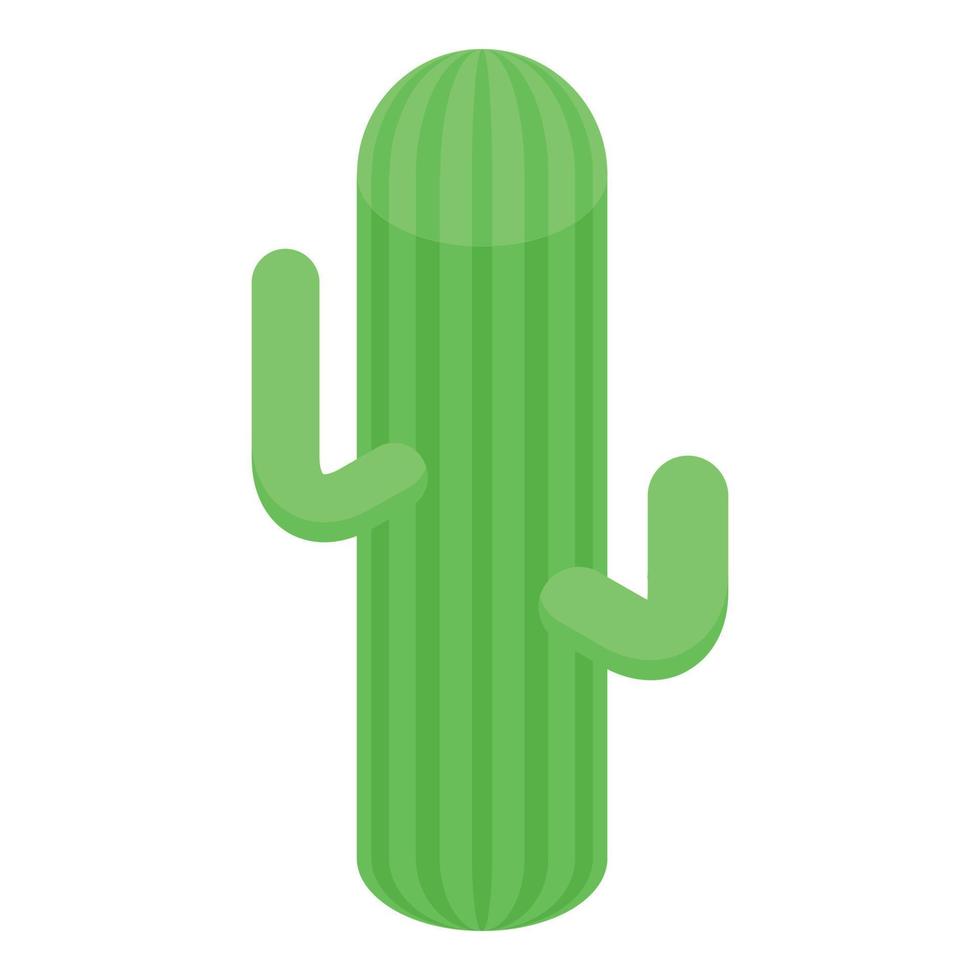 icono de cactus del desierto, estilo isométrico vector