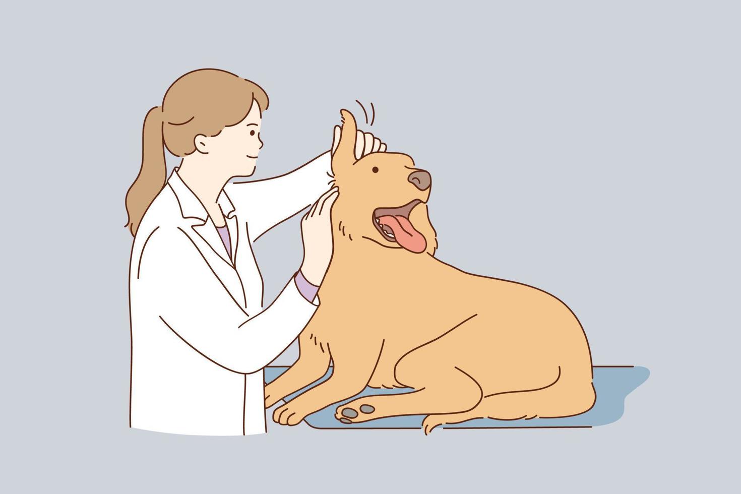 médico veterinario durante el concepto de trabajo. joven amable mujer sonriente veterinaria en uniforme blanco trabajando en la oficina examinando orejas perro vector ilustración