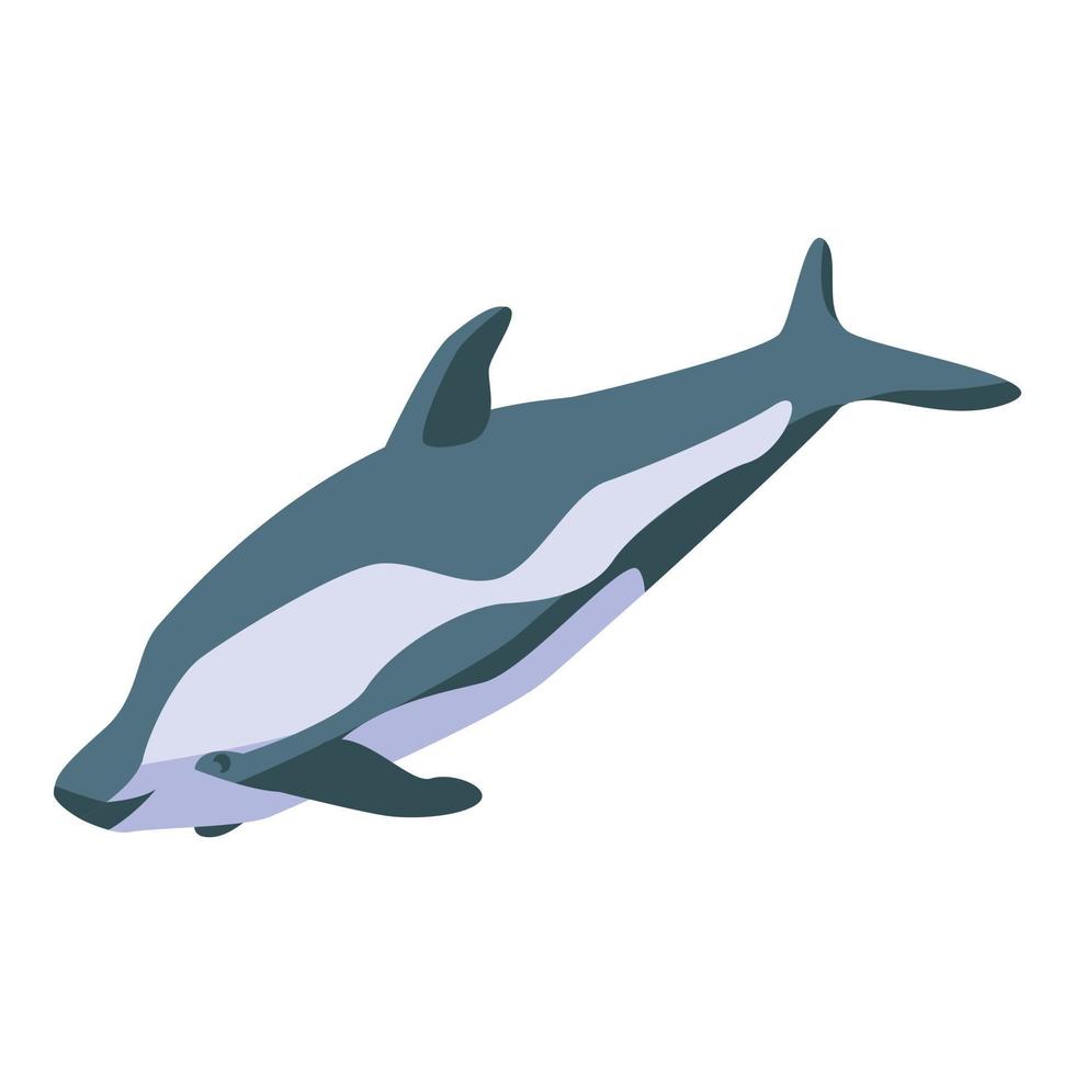 Arctic whale icon, isometric style vector