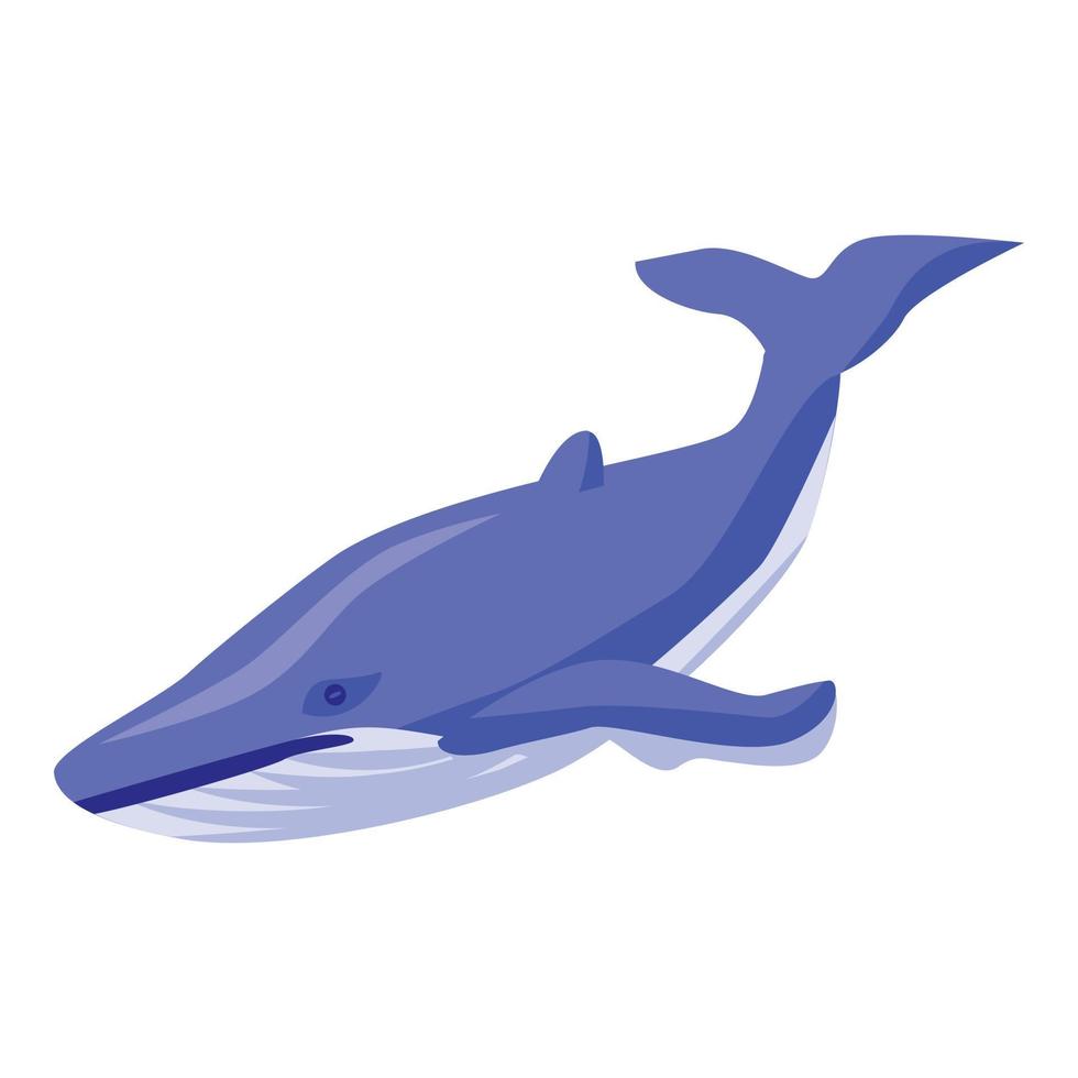 Blue whale icon, isometric style vector