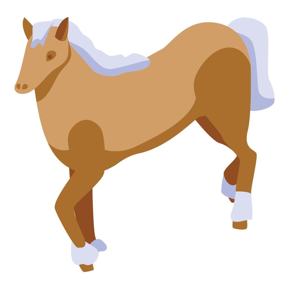 Ride horse icon, isometric style vector