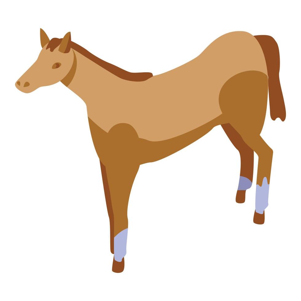 Speed horse icon, isometric style vector