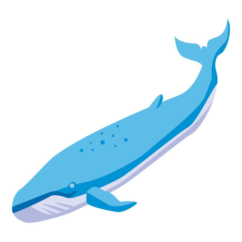 Sea whale icon, isometric style vector