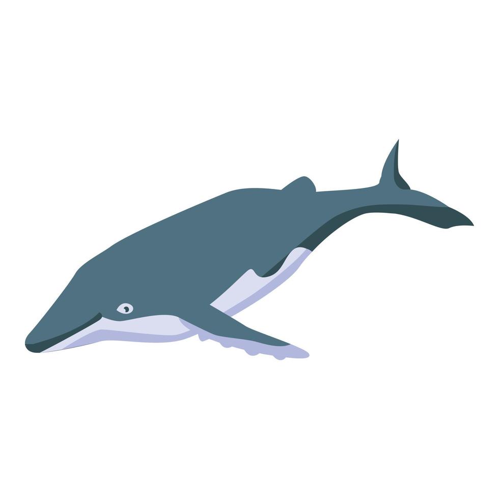 viejo icono de ballena, estilo isométrico vector