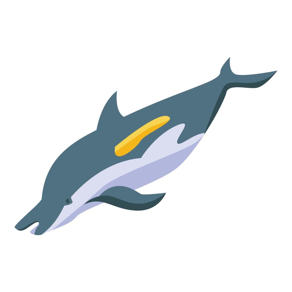 Dolphin whale icon, isometric style vector