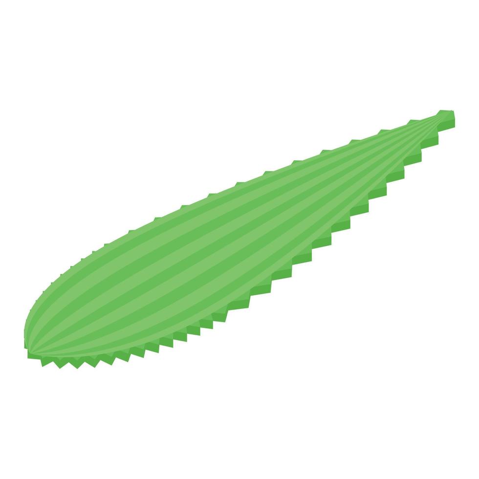 Aloe vera leaf icon, isometric style vector