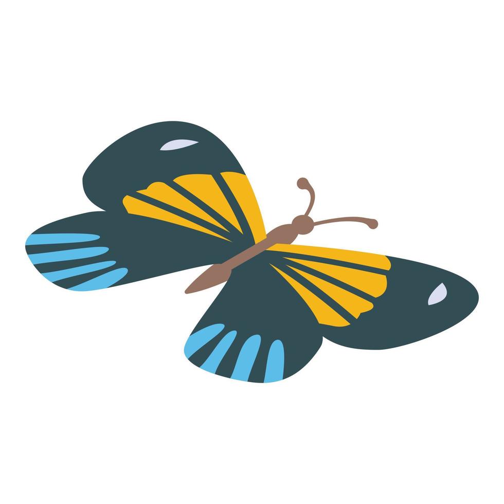 Tropical butterfly icon, isometric style vector