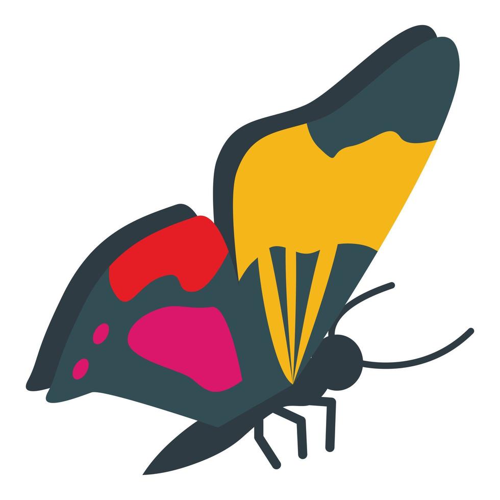 Butterfly icon, isometric style vector