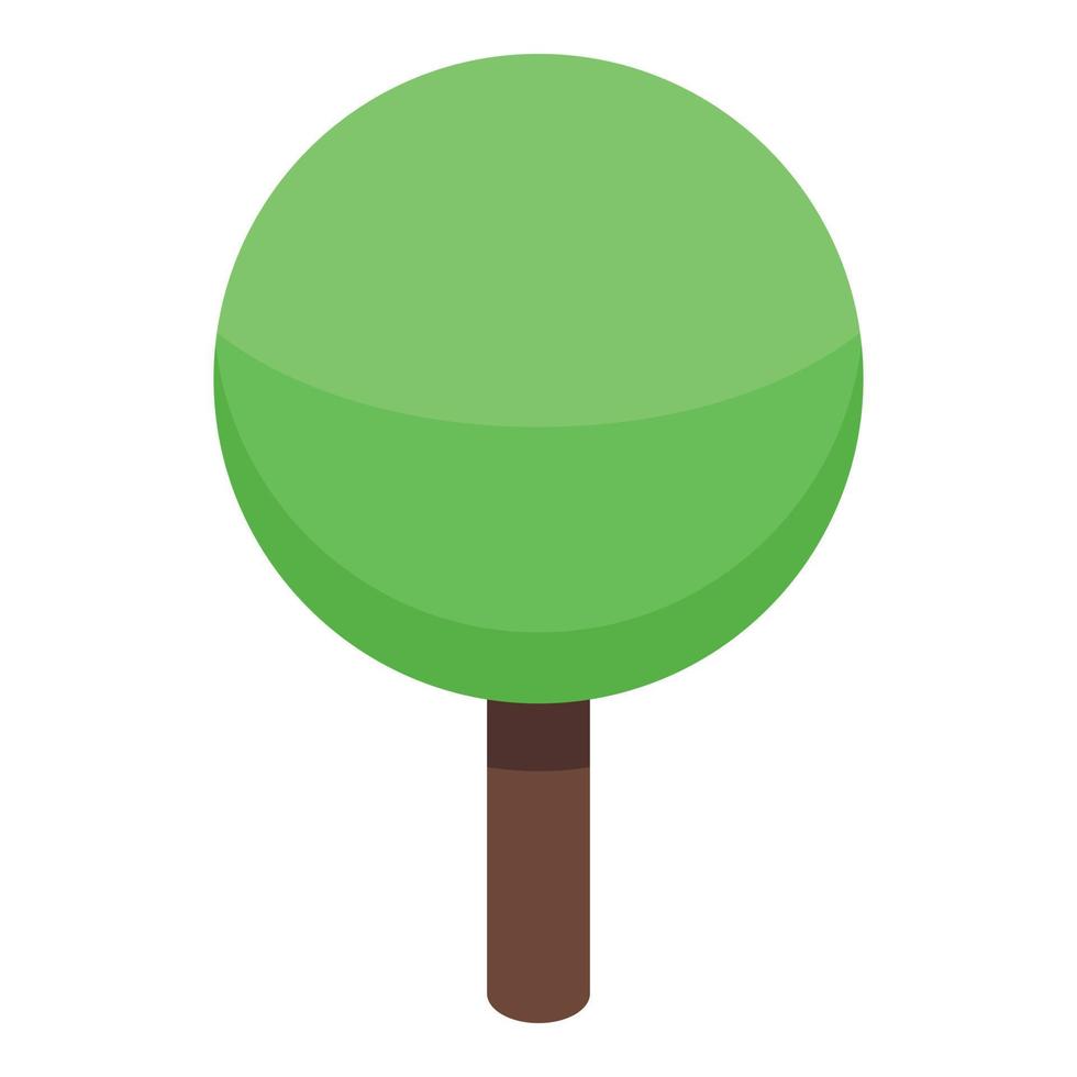 Park tree icon, isometric style vector