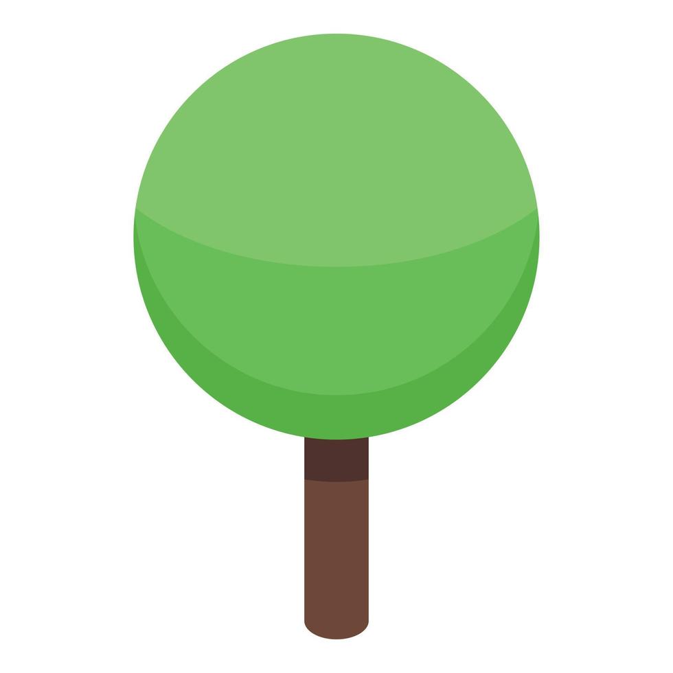 Park tree icon, isometric style vector