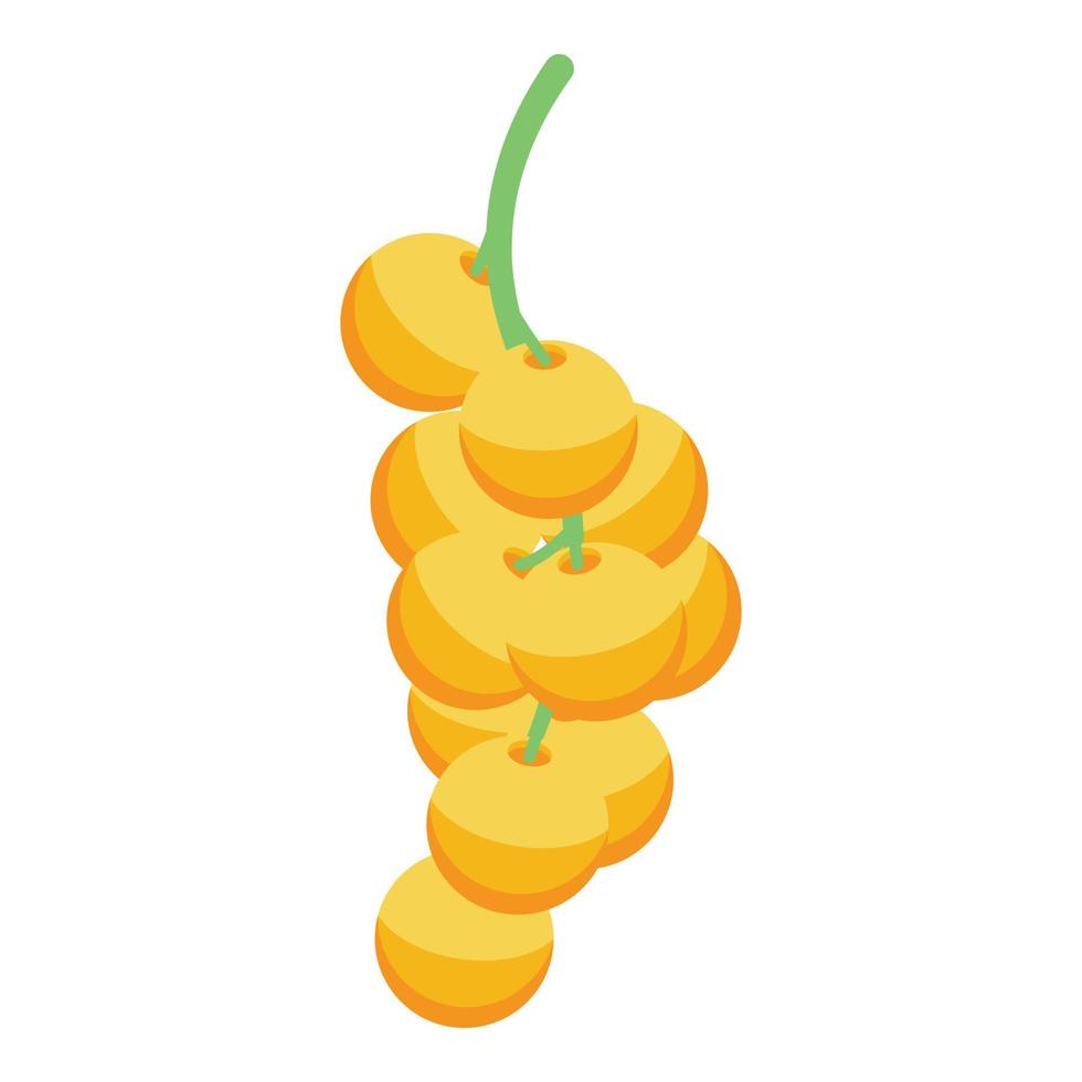 Yellow berry branch icon, isometric style vector