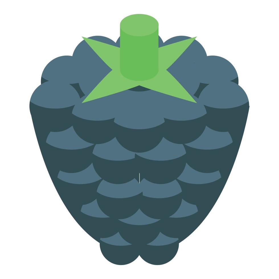 Blackberry fruit icon, isometric style vector