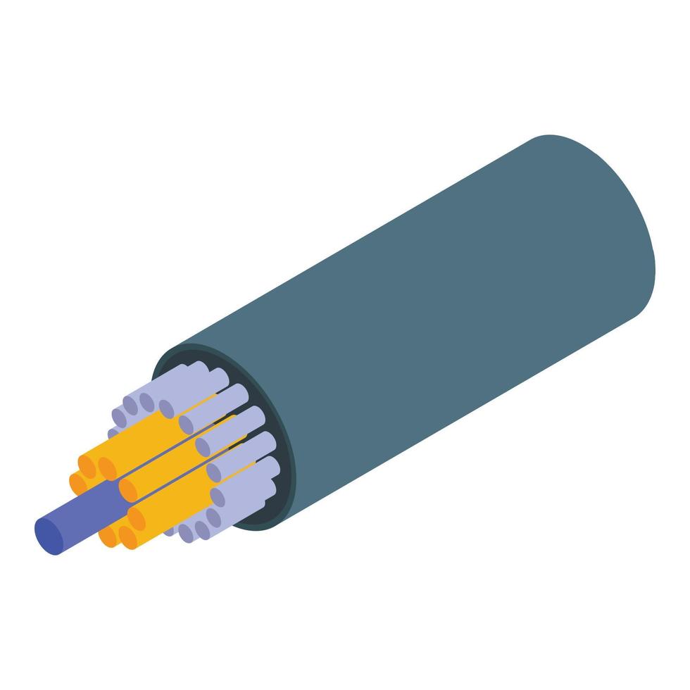 High speed optical cable icon, isometric style vector