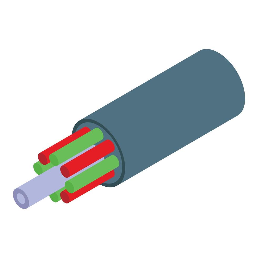 Computer optical cable icon, isometric style vector