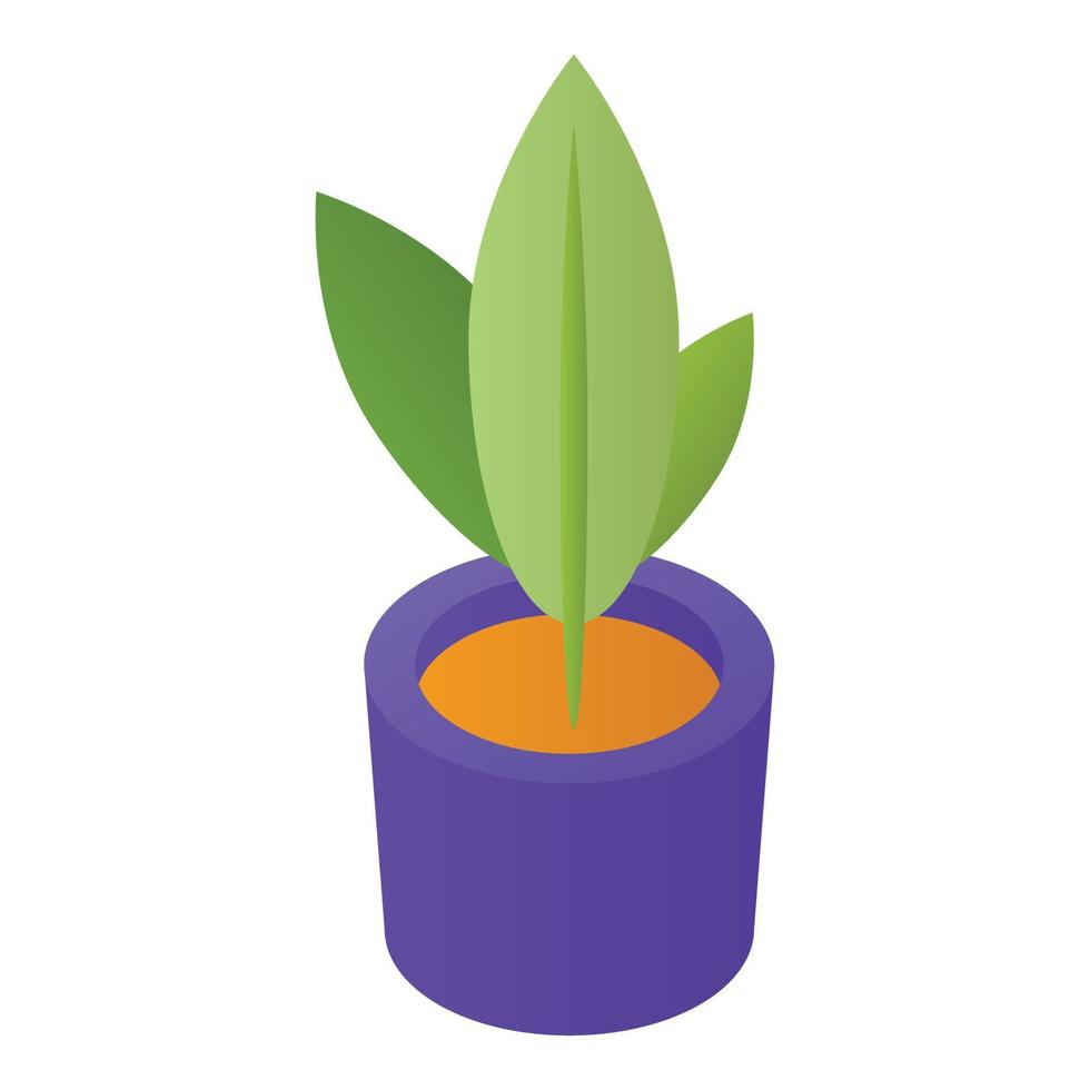 Room houseplant icon, isometric style vector