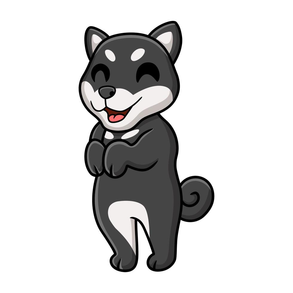 lindo, negro, shiba inu, perro, caricatura, posar vector