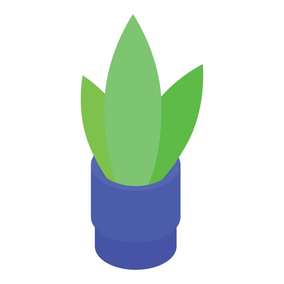 Houseplant icon, isometric style vector