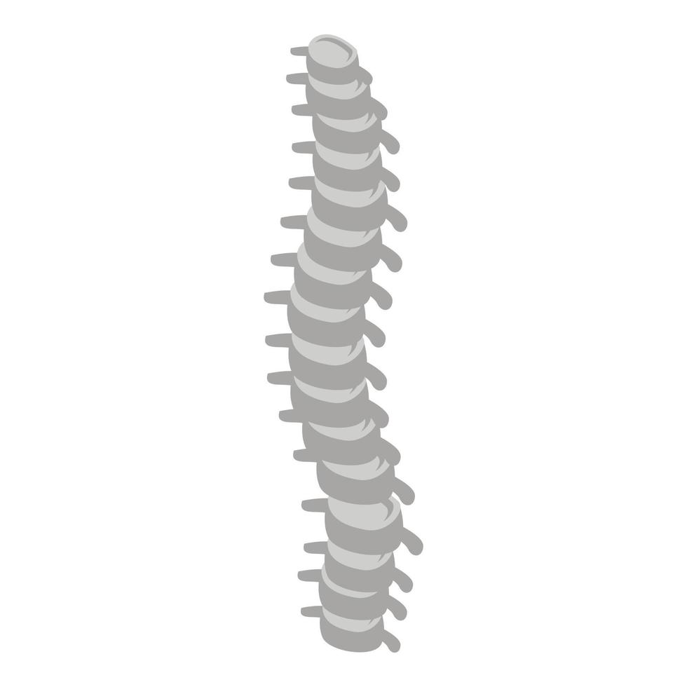 Human spine icon, isometric style vector