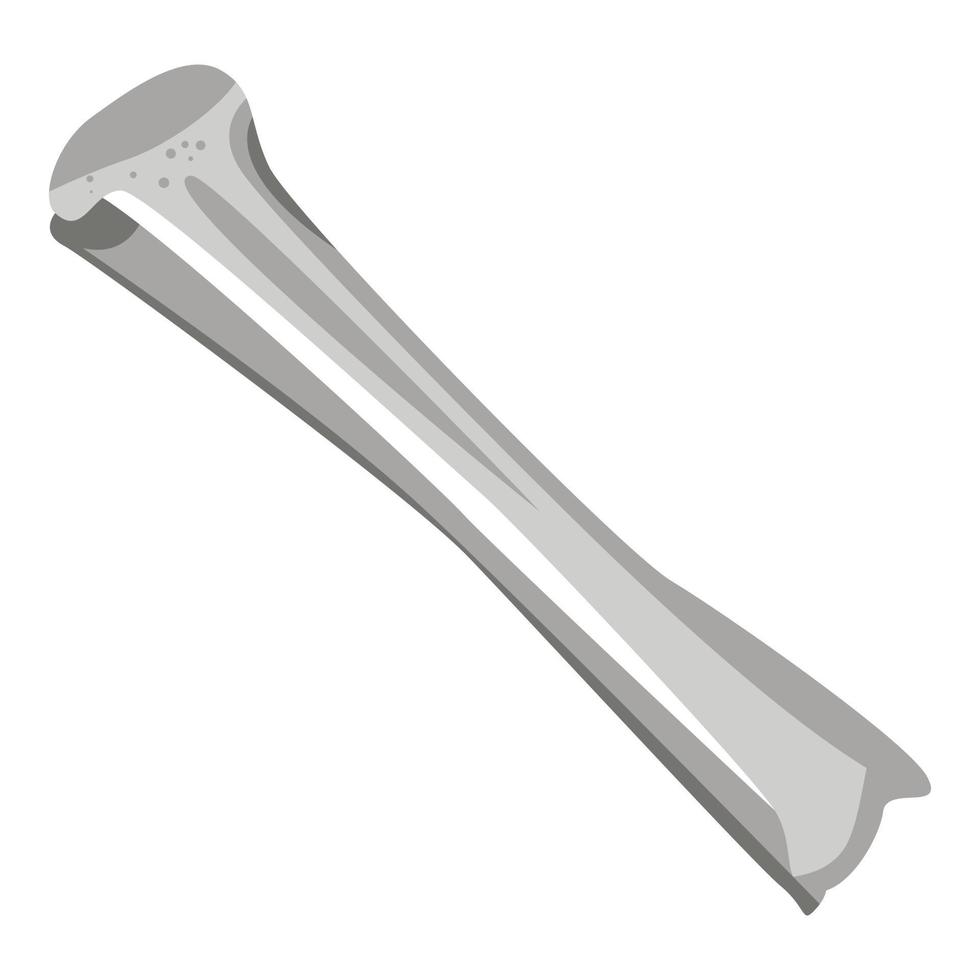 Humerus icon, isometric style vector