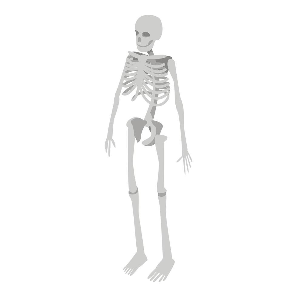 Human skeleton icon, isometric style vector