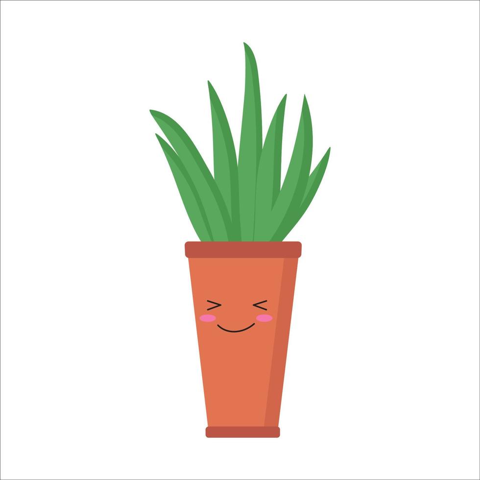 plant in a brown pot in the face vector