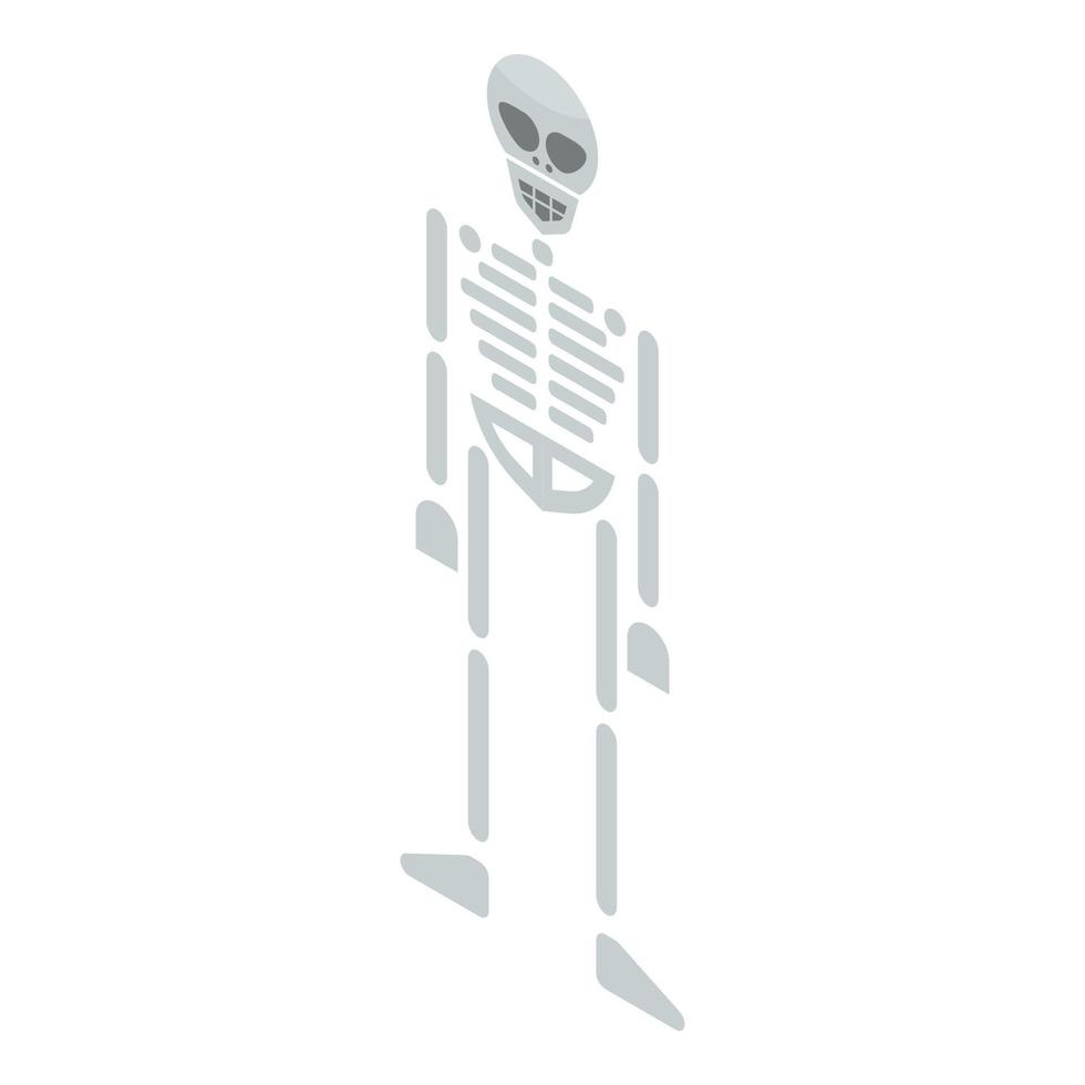 Skeleton icon, isometric style vector