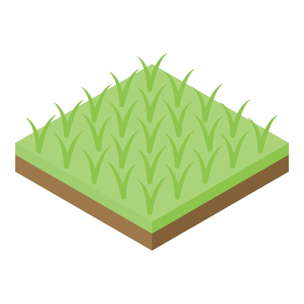 Rice plantation icon, isometric style vector