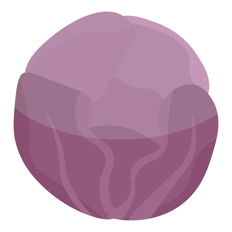 Violet cabbage icon, isometric style vector