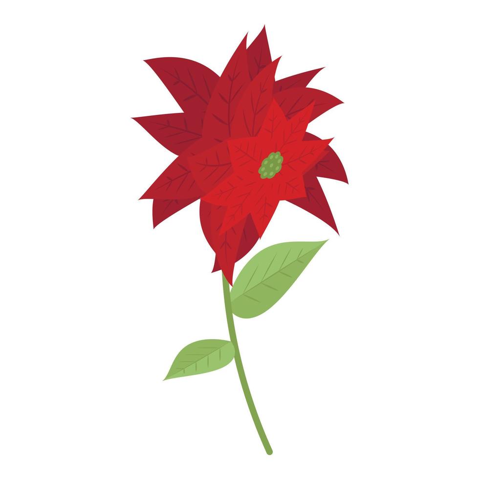 icono de flor de nochebuena, estilo isométrico 15382866 Vector en Vecteezy