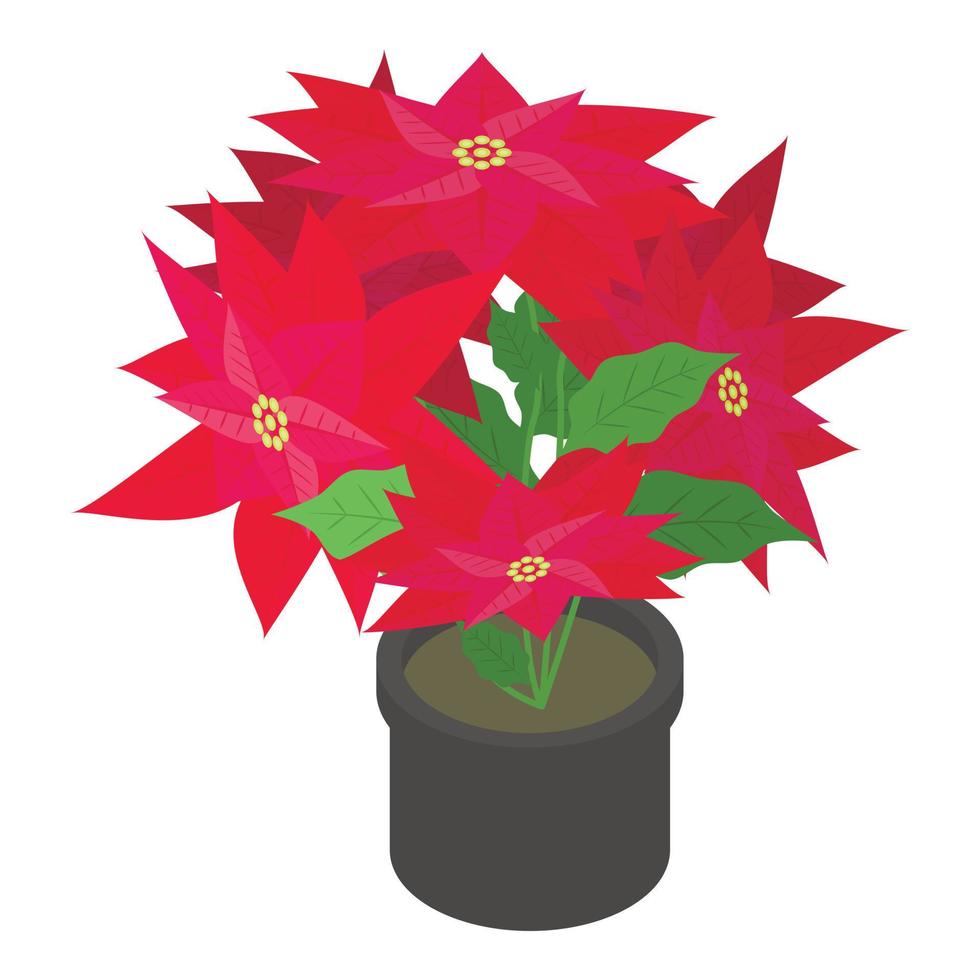 Poinsettia pot icon, isometric style vector