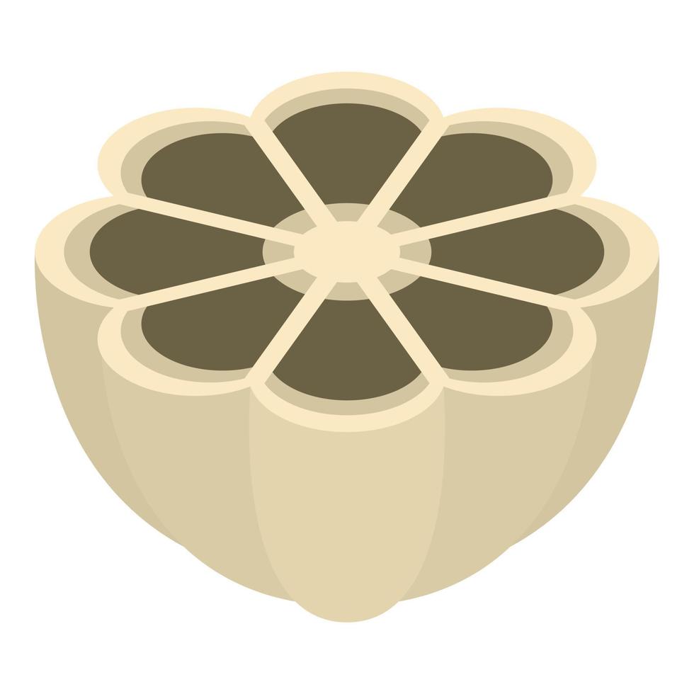 Half garlic icon, isometric style vector