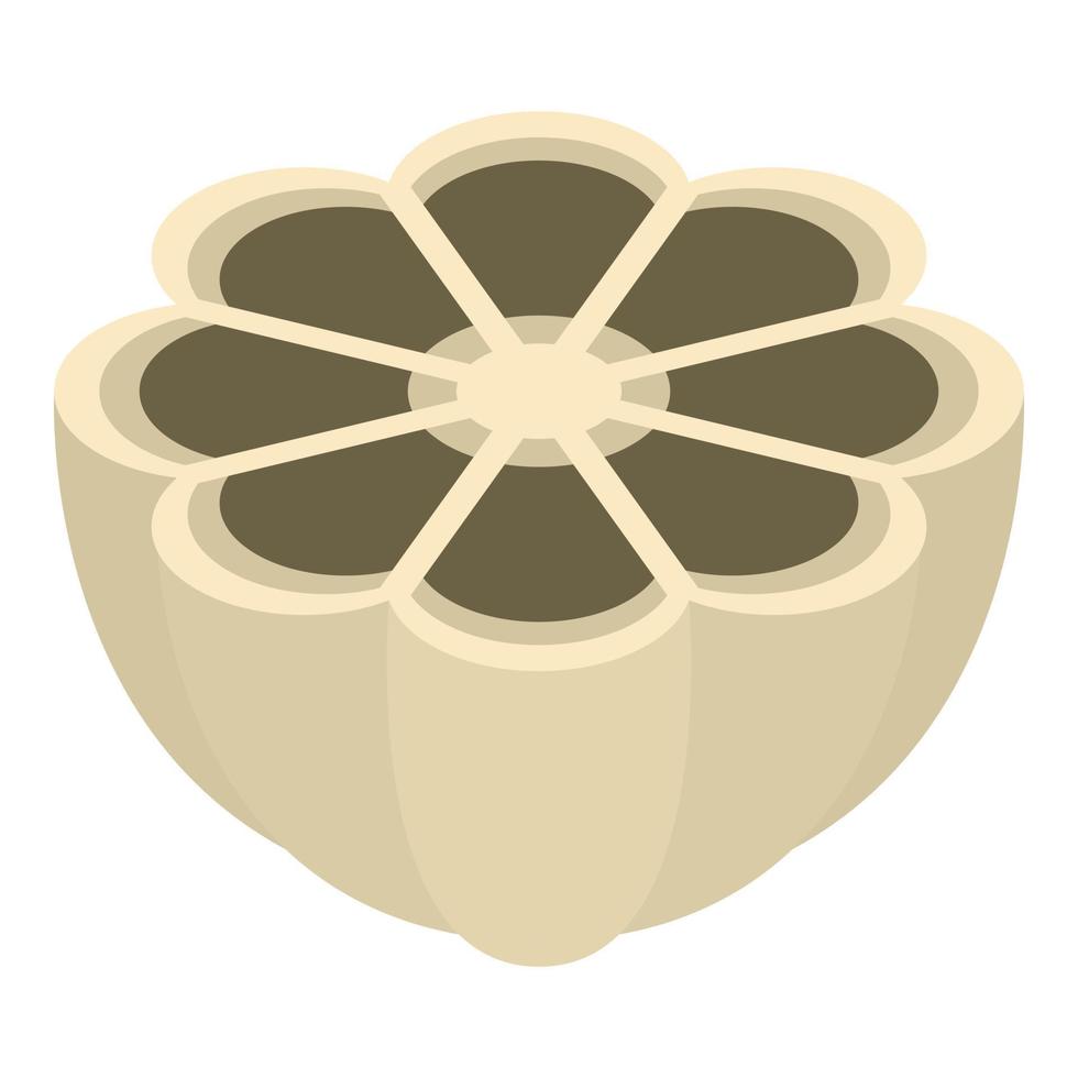 Half garlic icon, isometric style vector