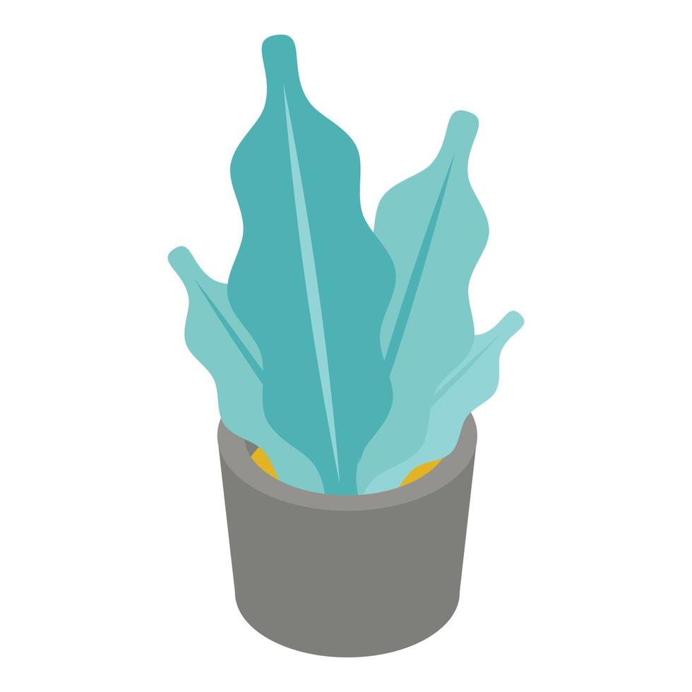 Succulent plant pot icon, isometric style vector