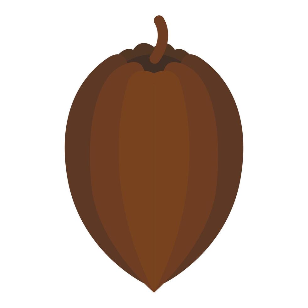 Cocoa fruit icon, isometric style vector