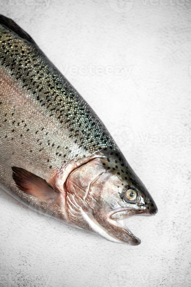 Fresh raw fish rainbow trout on a light background. photo