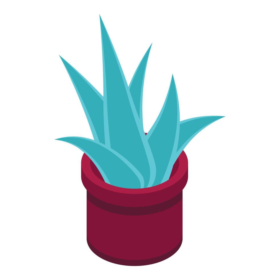 Succulent pot icon, isometric style vector