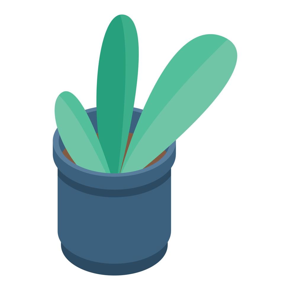 Office flower pot icon, isometric style vector