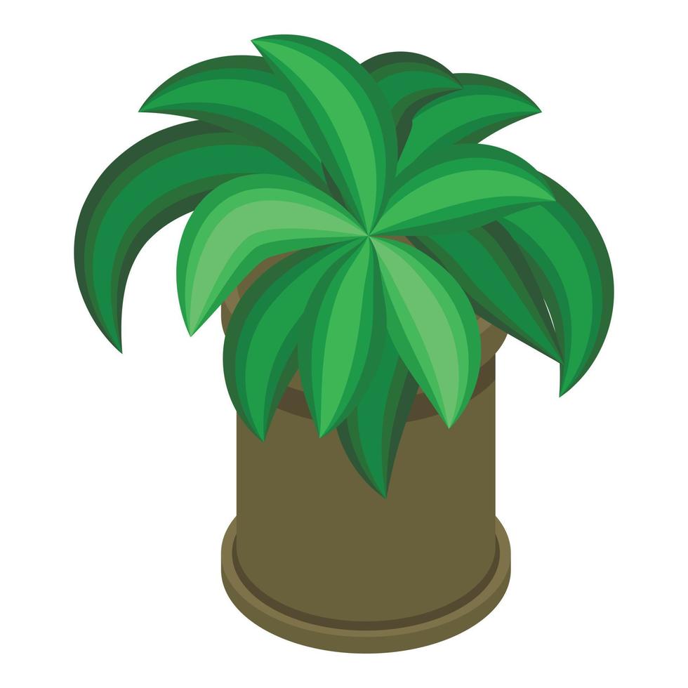 Botanical plant pot icon, isometric style vector