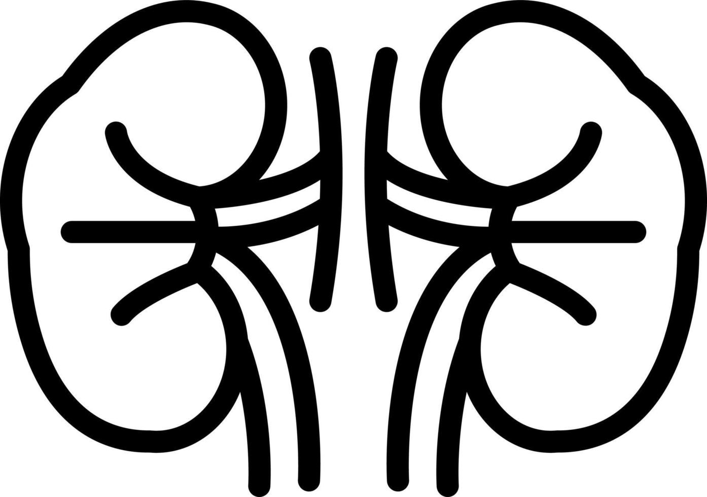 line icon for kidney vector