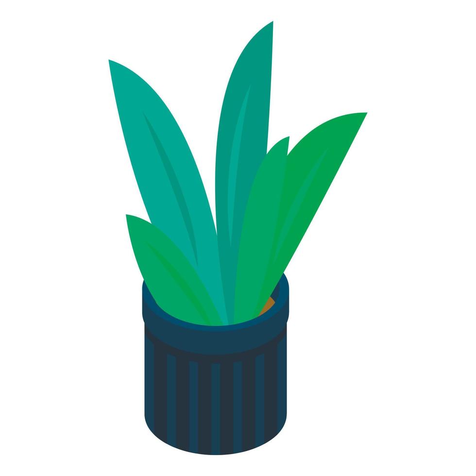 Office plant pot icon, isometric style vector