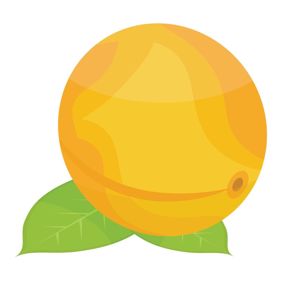 Whole tree apricot icon, isometric style vector
