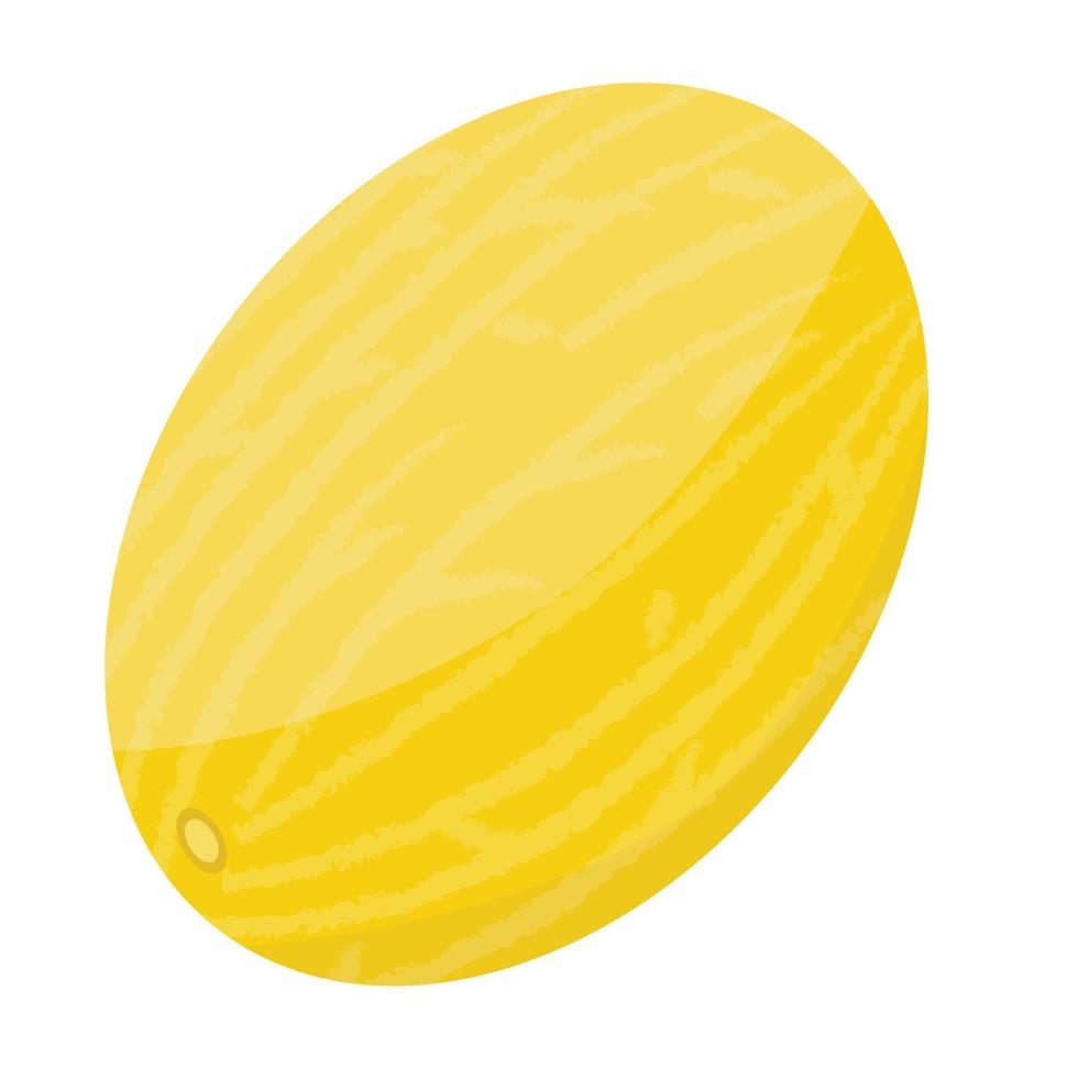 Whole melon icon, isometric style vector