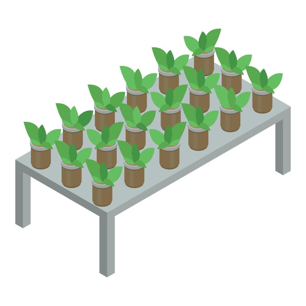 Greenhouse flower pot icon, isometric style vector