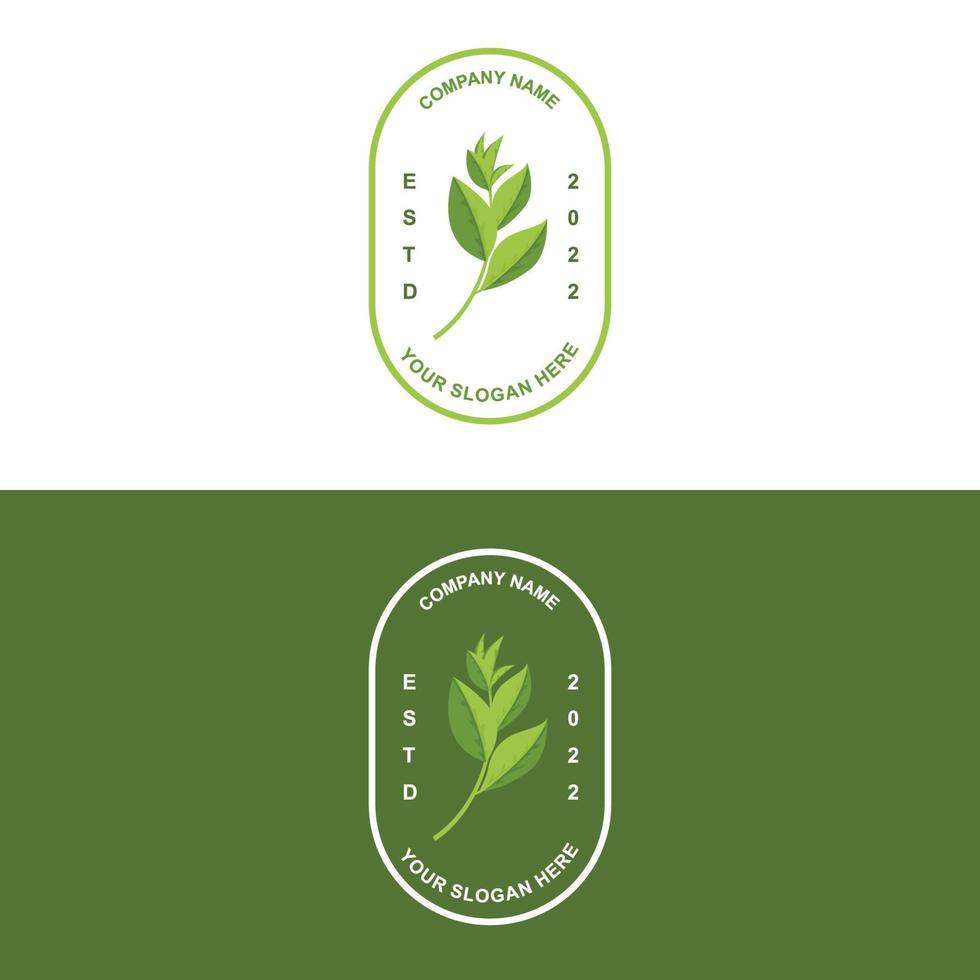 diseño de logotipo de té, icono de bebida vectorial de hojas verdes, para la salud vector