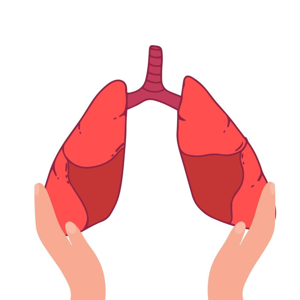 Lungs Human Internal Organ Isolated White Background With Gradient Mesh, Vector Illustration